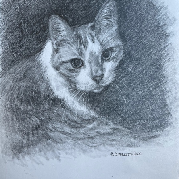 Meet your Posher, Carolyn - Picture 4 of 15